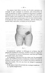 Fig. 1 - Concours d'agrégation, section chirurgie et accouchements. Titres et travaux scientifiques  [...]