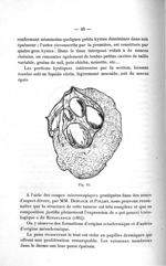 Fig. 10 - Concours d'agrégation, section chirurgie et accouchements. Titres et travaux scientifiques [...]
