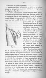 Fig. 22 - Titres et travaux scientifiques