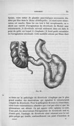 Fig. 29 - Titres et travaux scientifiques du Dr Joseph Guyot...concours pour l'agrégation, 1907, sec [...]