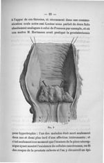 Fig. 9 - Titres et travaux scientifiques