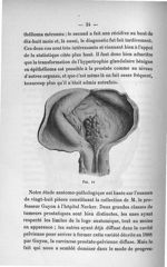 Fig. 10 - Titres et travaux scientifiques