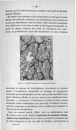 Fig. 23. Coupe histologique de la tumeur précédente - Titres et travaux scientifiques