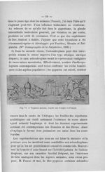 Fig. VI. Pygmées anciens, d'après une fresque de Pompei - Concours d'agrégation, chirurgie, 1907. Ti [...]