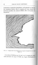 Fig. 11. Coupe isolée d'un fragment de la paroi du kyste K de la coupe figure 10 - Titres et travaux [...]