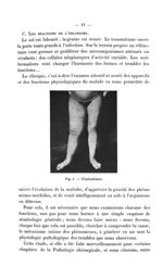 Fig. 6. Éléphantiasis - Titres et travaux