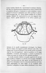 Fig. 10 - Titres et travaux scientifiques