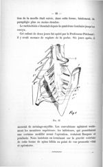 Fig. 11 - Titres et travaux scientifiques