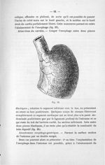 Fig. 28 - Titres et travaux scientifiques