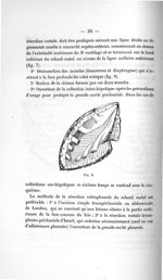 Fig. 8 - Titres et travaux