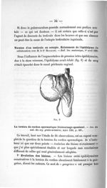 Fig. 9 - Titres et travaux