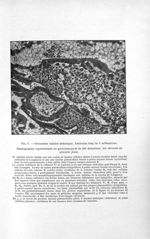 Fig. 7. Grossesse tubaire isthmique - Titres et travaux scientifiques