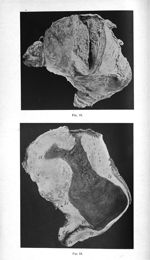 Fig. 12 / Fig. 13 - Titres et travaux scientifiques