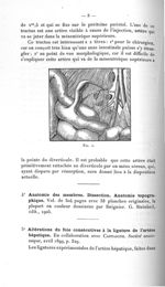 Fig. 1 - Avril 1907. Titres et travaux scientifiques