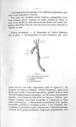 Fig. 2. a l d, artère allant au lobe droit ; a h, branches hépatiques ; p, pylorique ; g d, gastro-d [...]
