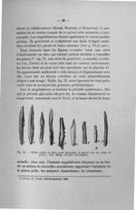 Fig. 25. Petits outils en silex pour travailler et graver sur os, corne et pierre. Abri Meige (Teyja [...]