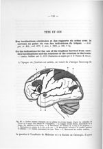 Fig. 40. Centres moteurs transposés sur un schéma de cerveau humain d'après les recherches de Ferrie [...]