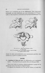 Fig. 34, 35, 36. Atlas et axis normaux, en place - Titres et travaux scientifiques