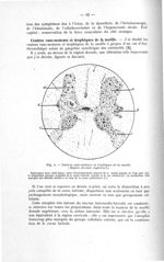 Fig. 4. Centres caso-moteurs et trophiques de la moelle (région dorsale supérieure) - Exposé des tit [...]