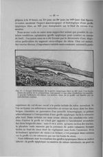 Fig. 17. Coupe histologique de la greffe épiploïque libre au 103e jour - Titres et travaux scientifi [...]