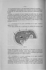 Fig. 23 - Titres et travaux scientifiques