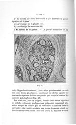 Fig. 47 - Titres et travaux scientifiques