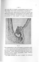 Fig. 48 - Titres et travaux scientifiques