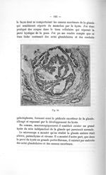 Fig. 50 - Titres et travaux scientifiques