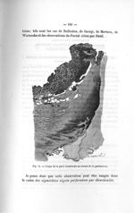 Fig. 71. Coupe de la paroi intestinale au niveau de la perforation - Titres et travaux scientifiques