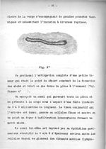 Fig. N° - Titres et travaux scientifiques