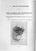 Fig. 39 - Exposé des titres et travaux scientifiques