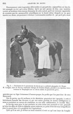 Fig. 5. Traitement de la pneumonie du cheval par la méthode phagogène de Doyen - Archives de Doyen.  [...]