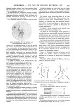Fig. 1. - Aspect du mycelium dans les crachats / Fig. 2. - A. Aspect du parasite dans les cultures s [...]