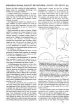 Fig. 3. et 4. - Orthodiagramme des reins d'une malade morte d'hémorragie méningée - Paris médical :  [...]