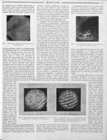 Fig. 11. — Microphotographie d’un faux par imitation. Le faussaire, s’apercevant que son modèle a de [...]