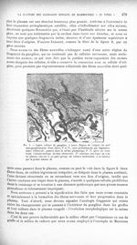 Fig. 9. Lapin, culture de ganglion, 4 jours. Région de l'origine du nerf sous-ganglionnaire - Revue  [...]