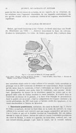 Fig. 6. Le canal de Bichat (C. B.) coupe sagittale - Revue neurologique
