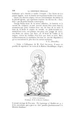 La Vierge Bouddhique - La Chronique médicale : revue bi-mensuelle de médecine historique, littéraire [...]