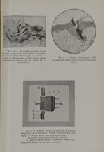 Fig. 4. - Microphotographie d'une coupe de peau avec incrustation d'un grain de poudre T bis (Browni [...]