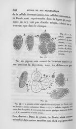 Fig. 43 et 44. Cellules contenant de la fécule - Leçons de physiologie expérimentale appliquée à la  [...]