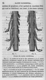 Fig. 1 et 2 - Cours de médecine du Collège de France : Leçons sur la physiologie et la pathologie du [...]