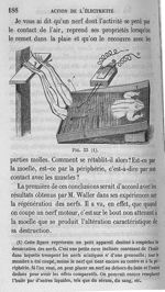 Fig. 33. Appareil pour empêcher la dessiccation des nerfs - Cours de médecine du Collège de France : [...]