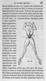 Fig. 34 - Cours de médecine du Collège de France : Leçons sur la physiologie et la pathologie du sys [...]