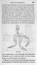 Fig. 36 - Cours de médecine du Collège de France : Leçons sur la physiologie et la pathologie du sys [...]
