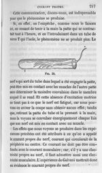 Fig. 38 - Cours de médecine du Collège de France : Leçons sur la physiologie et la pathologie du sys [...]