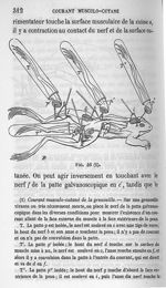Fig. 46. Courant musculo-cutané de la grenouille - Cours de médecine du Collège de France : Leçons s [...]
