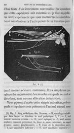 Fig. 9. Nerf pathétique chez l'homme - Cours de médecine du Collège de France : Leçons sur la physio [...]