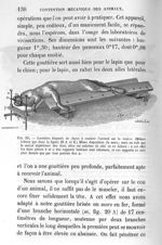 Fig. 23. Gouttière disposée de façon à coucher l'animal sur le ventre - Leçons de la physiologie opé [...]