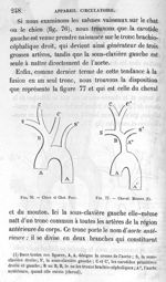 Fig. 76. Chien et chat. Porc/ Fig. 77. Cheval. Mouton - Leçons de la physiologie opératoire