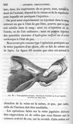 Fig. 88. Veine jugulaire du lapin : direction de l'incision (a, b) par laquelle on arrive sur cette  [...]